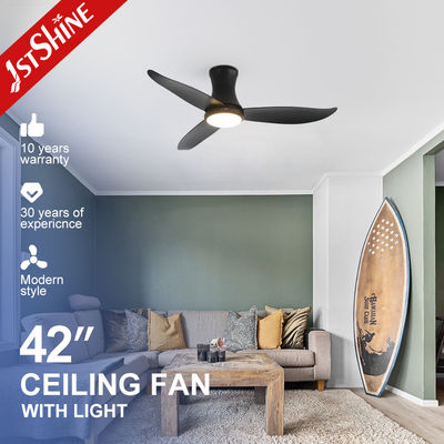 OEM/ODM Factory Ceiling Fan 48 дюймовый черный потолочный вентилятор с затуманенным светодиодным светом